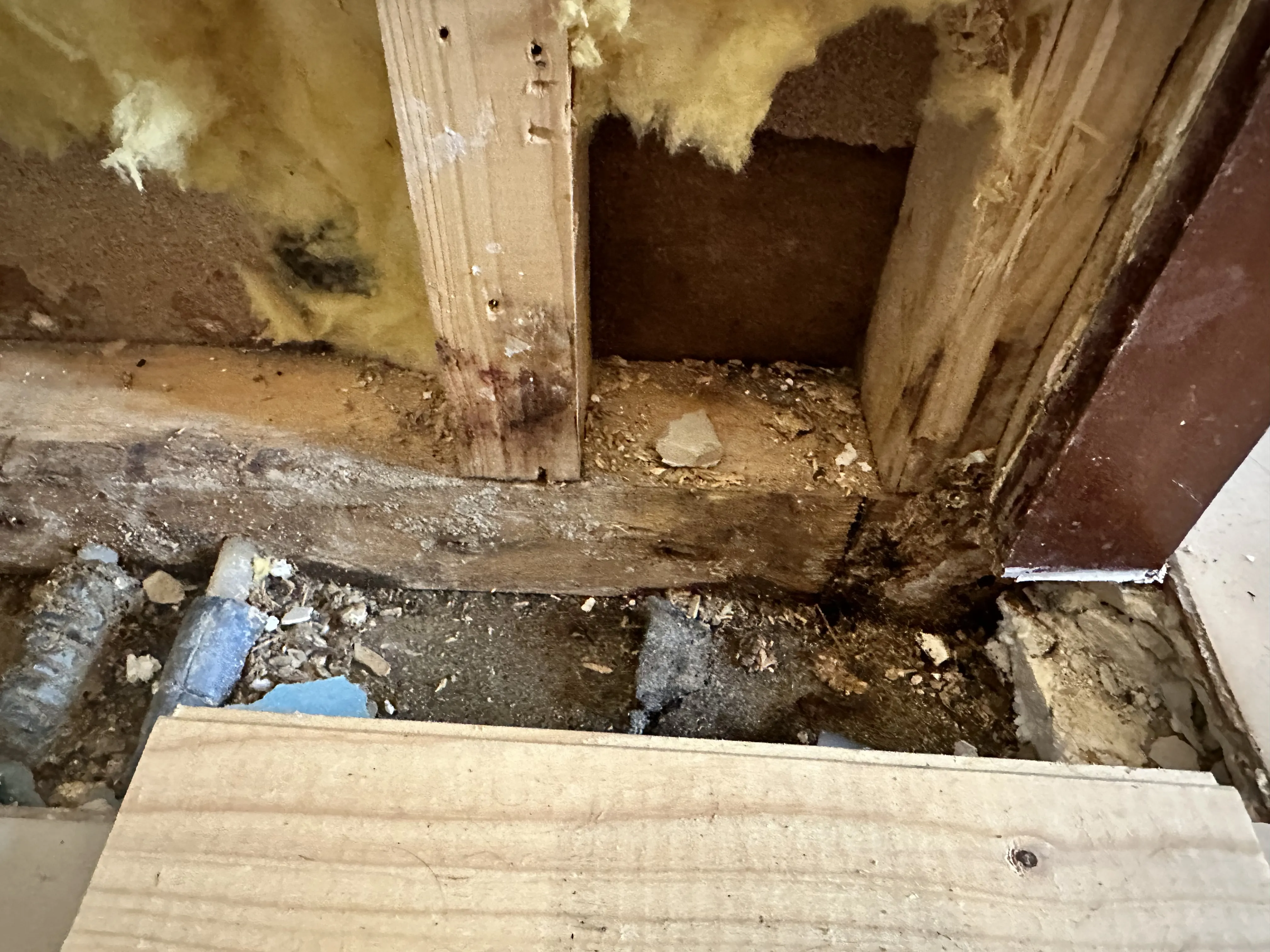 Nahaufnahme von beschädigtem Wandrahmen mit Dämmung, Holzbohle und Schmutz darunter.